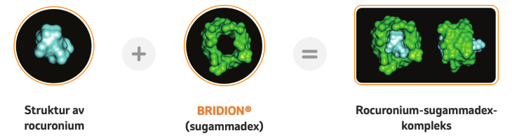 BRIDIONs virkemåte