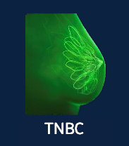 TNBC