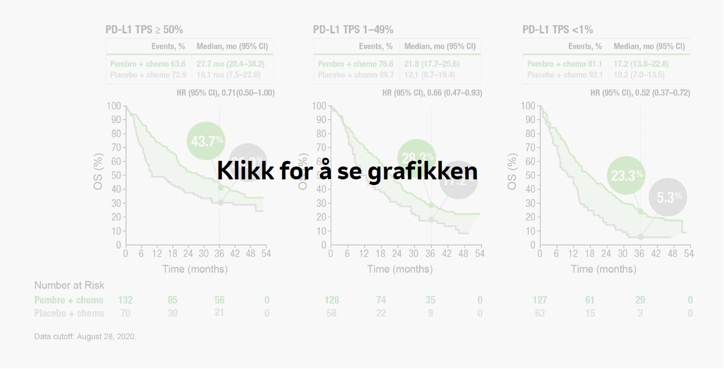 Klikk for a se grafikken