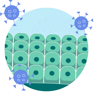 Virus