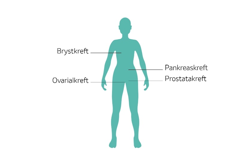 Indikasjonsmenneske