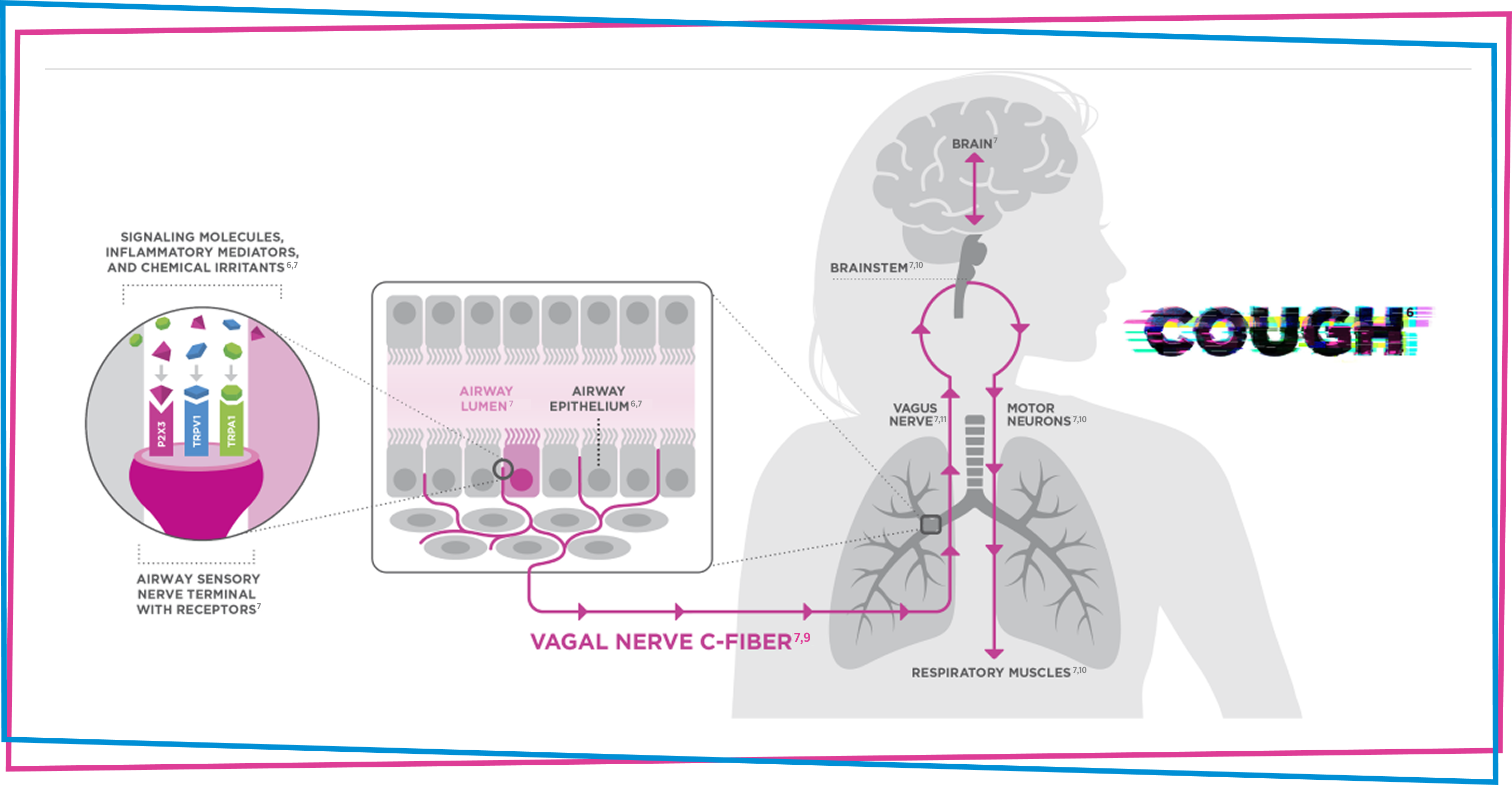 Mechanism of disease - illustration