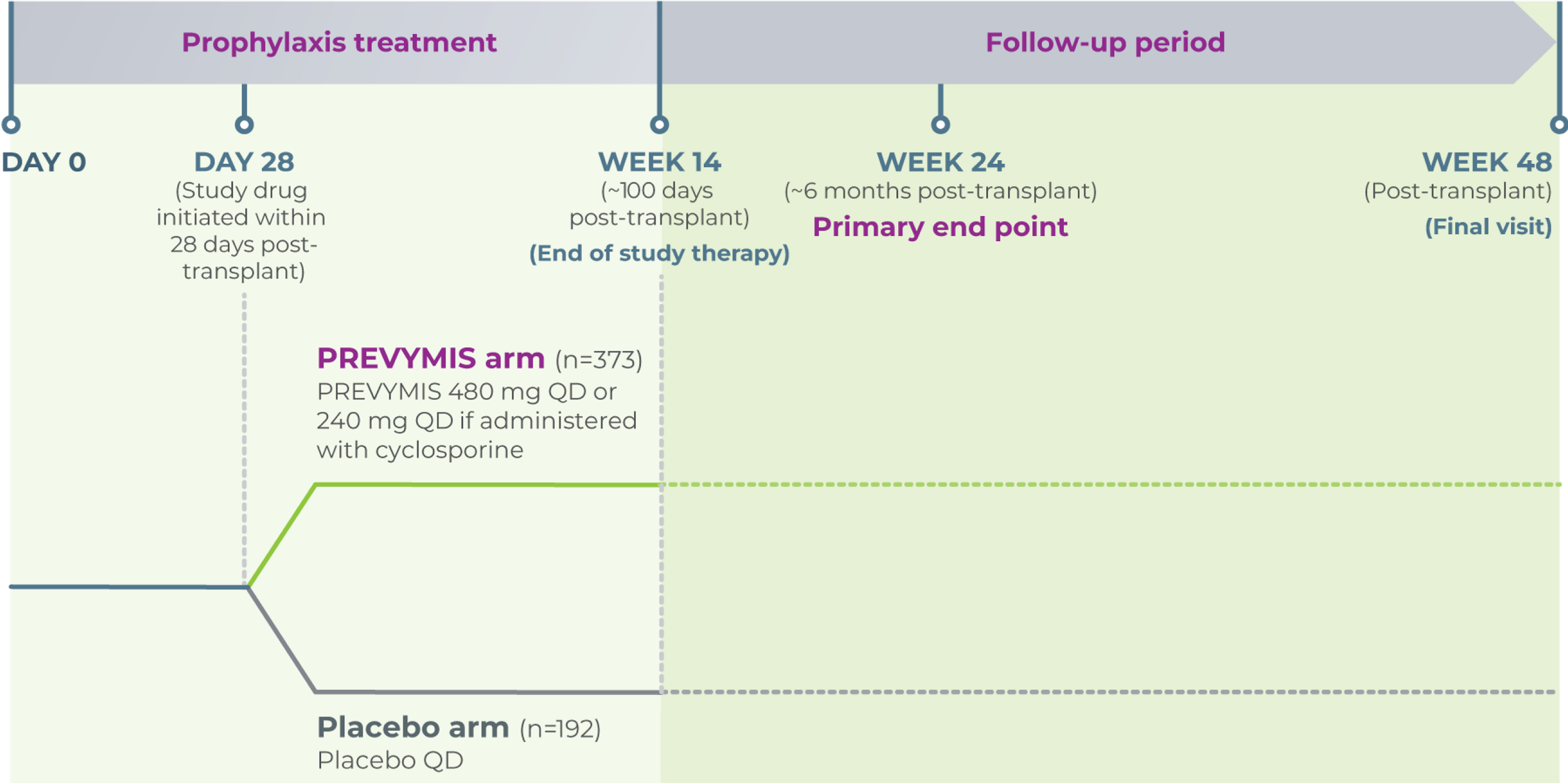 Study design
